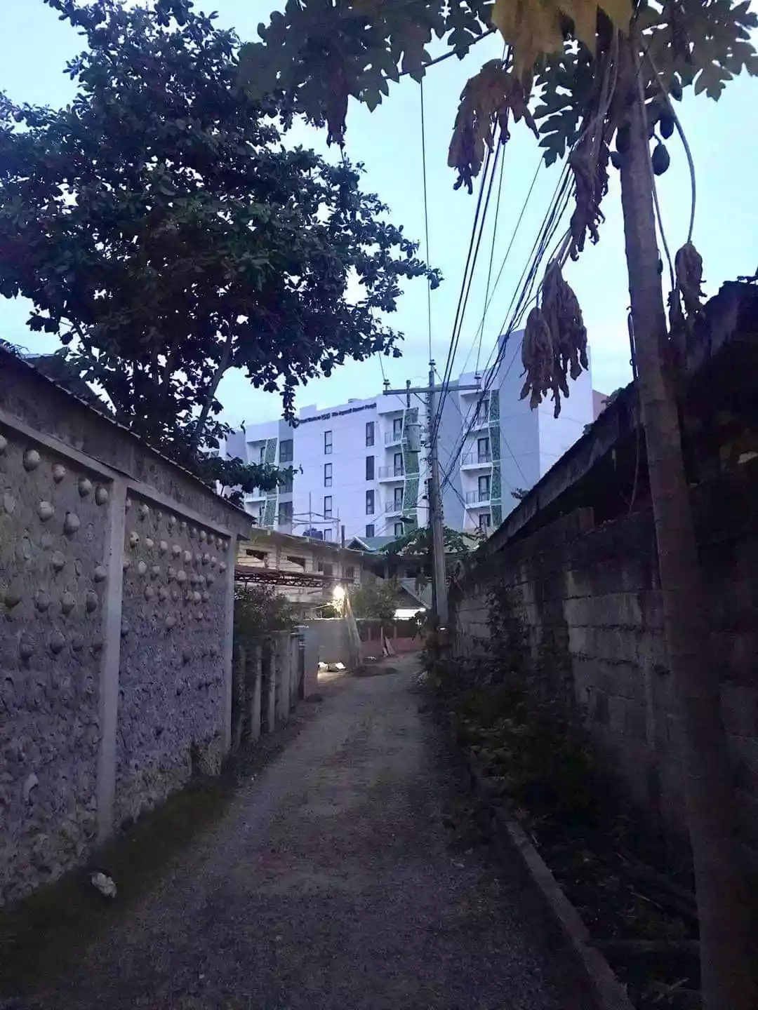 Prime Lot in Alona Panglao - photo 4