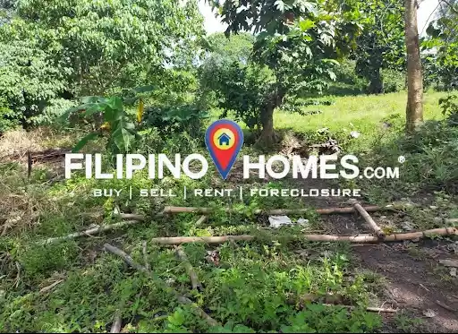 Agricultural Lot for Sale in Naga, Camarines Sur — Agricultural Lot in Naga, Camarines Sur, Philippines — Photo 3