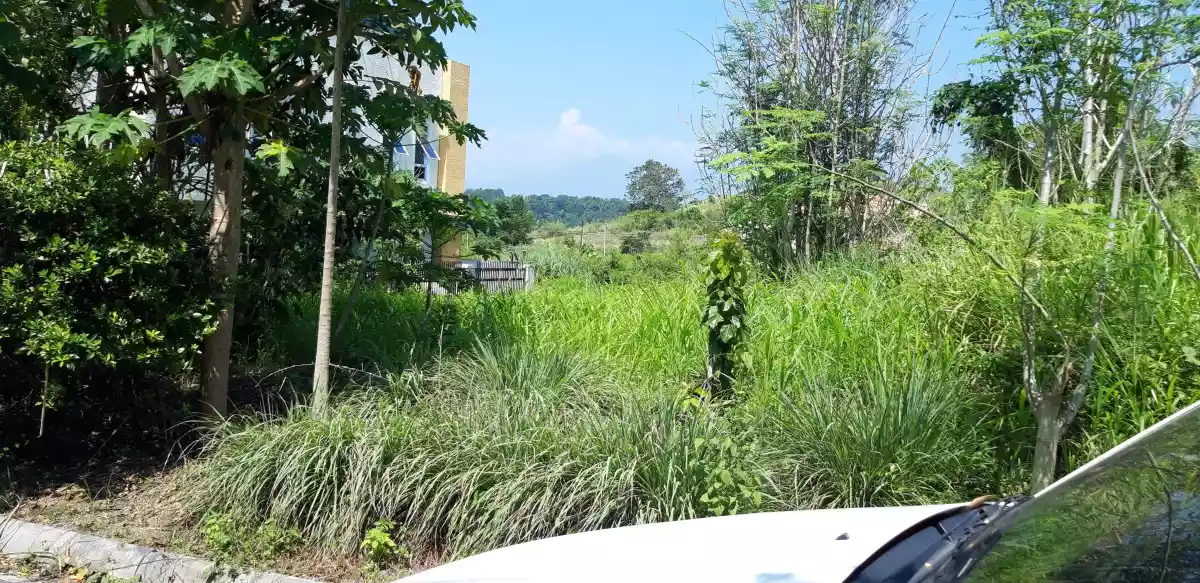 Residential Lot For Sale - photo 2