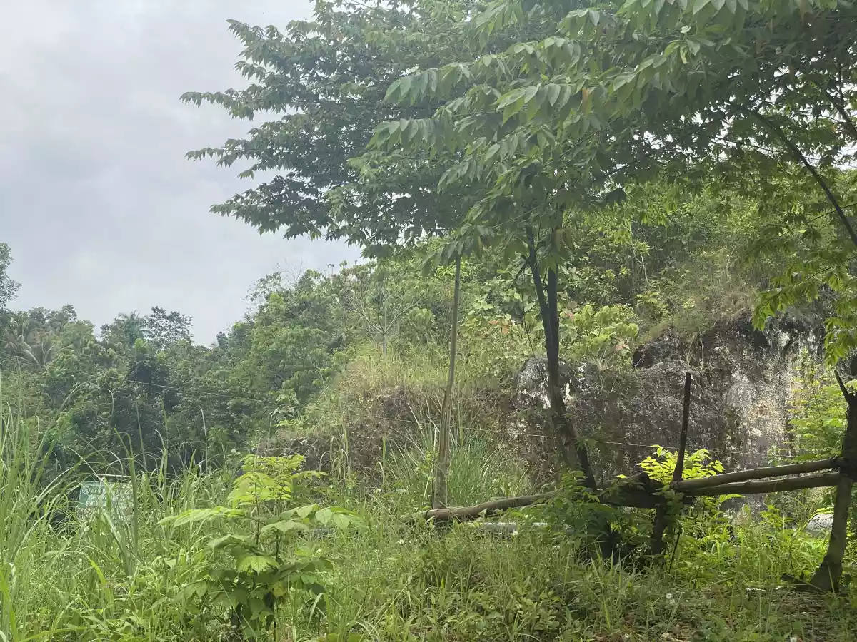 OVERLOOKING LOT FOR SALE - INDAHAG AREA - photo 2