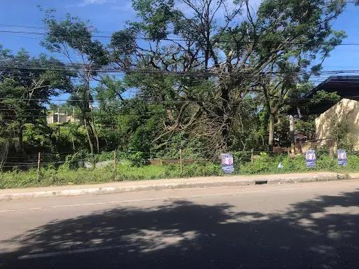 Lot for Sale in Danao City — Commercial Lot in Danao City, Cebu, Philippines — Photo 5