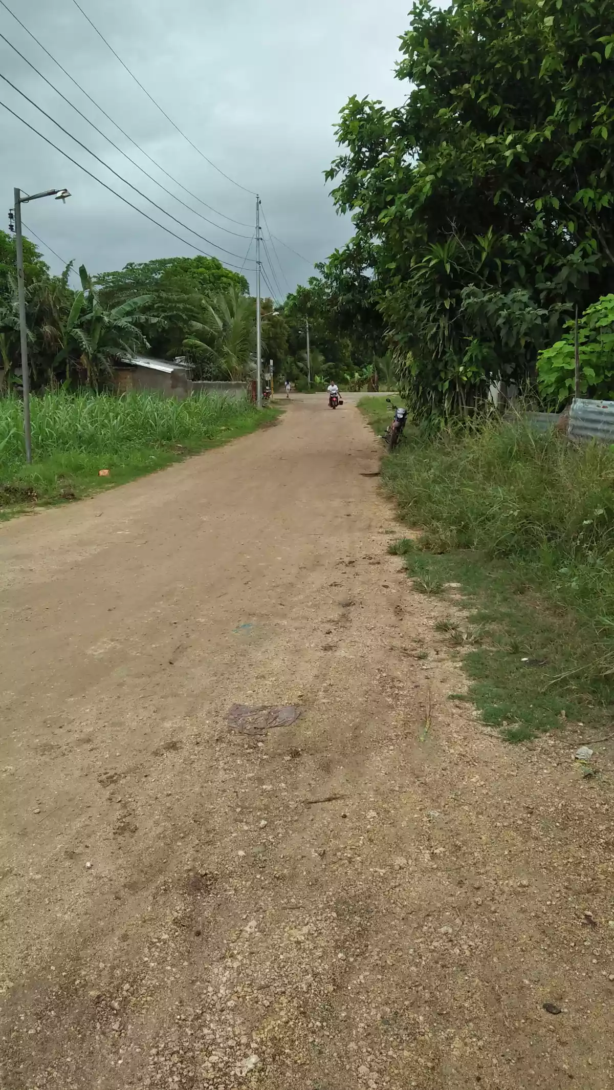 45 hectares Farm Land for Sale - photo 7