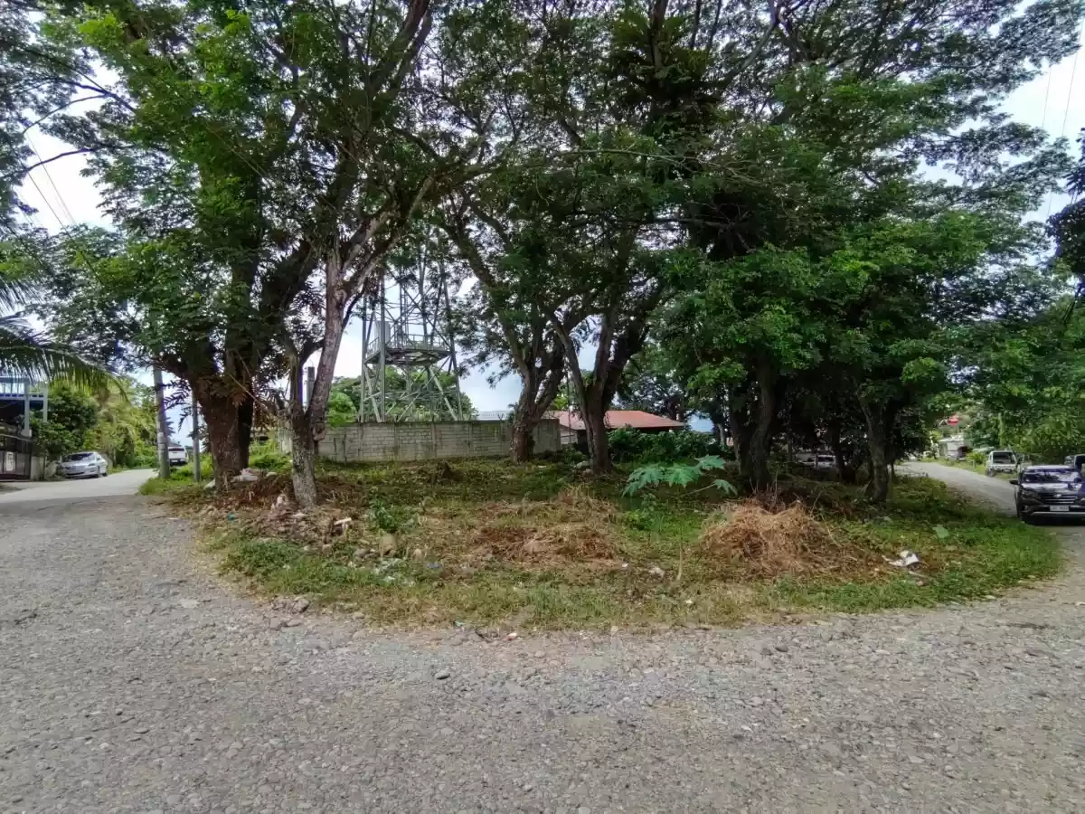 Residential Lot in Ma-a (Near Gap Farm) - photo 3