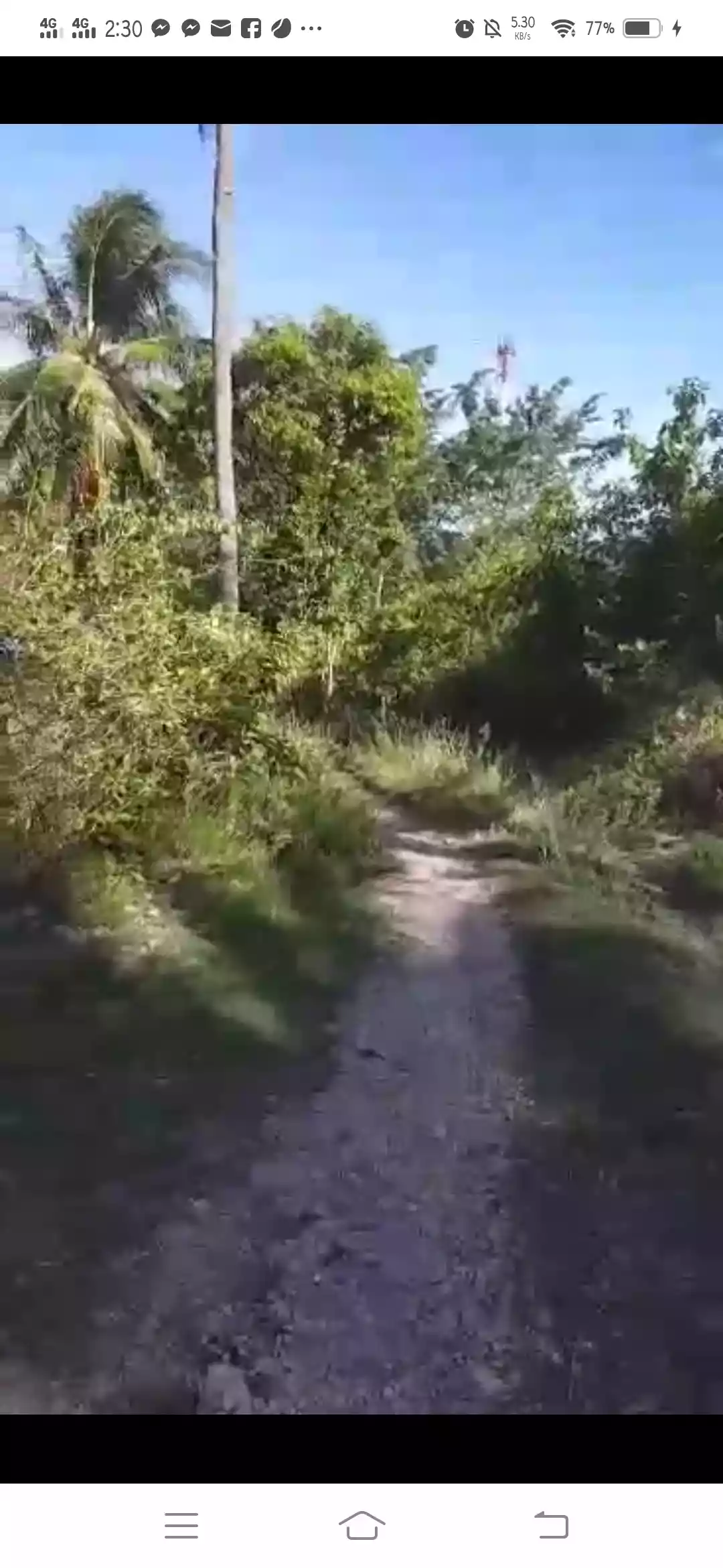 FARM LOT FOR SALE IN DALAGUETE, CEBU — Agricultural Lot in Dalaguete, Cebu, Philippines — Photo 3