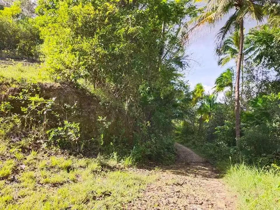 Lot for sale - photo 5
