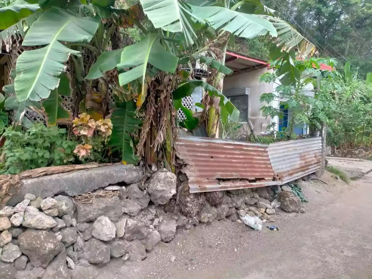 Lot Only — Commercial Lot in Catmon, Cebu, Philippines — Photo 3