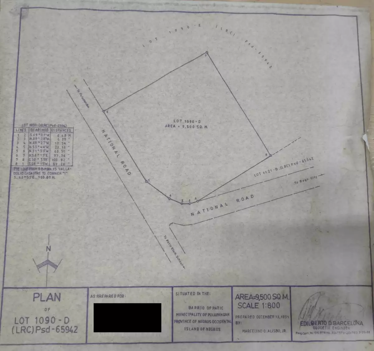 Pulupandan Lot for sale along the road — Commercial Lot in Negros South Road, Pulupandan, Negros Occidental — Photo 2