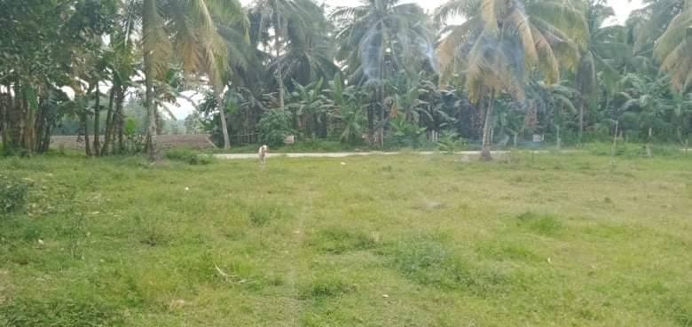 Titled property barangay Magsaysay, polomolok - photo 3