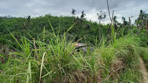 Land Farm 3,348,540.00 (For Sale) — Space in Talisay, Cebu, Philippines — Photo 7