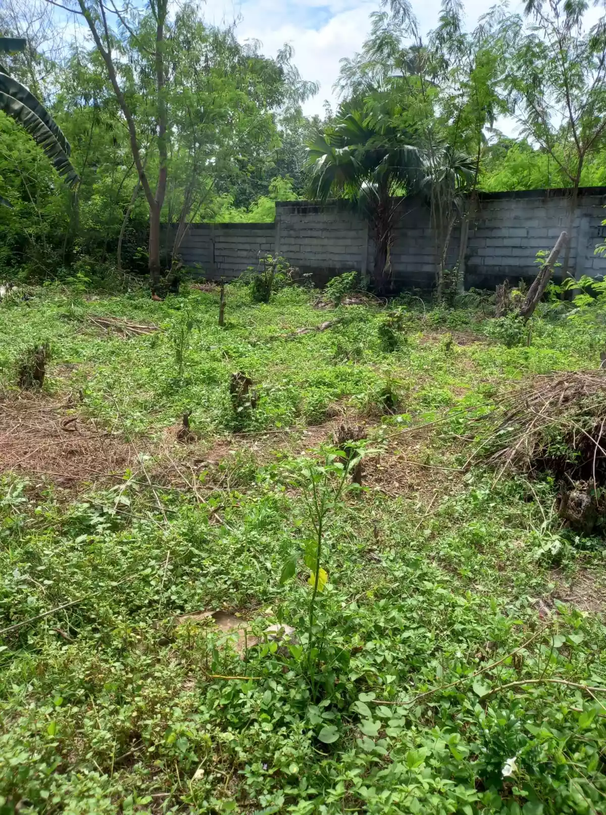 147sqm Lot Only near UST Campus Gensan. — Residential Lot in Pan-Philippine Highway, General Santos City, South Cotabato — Photo 2