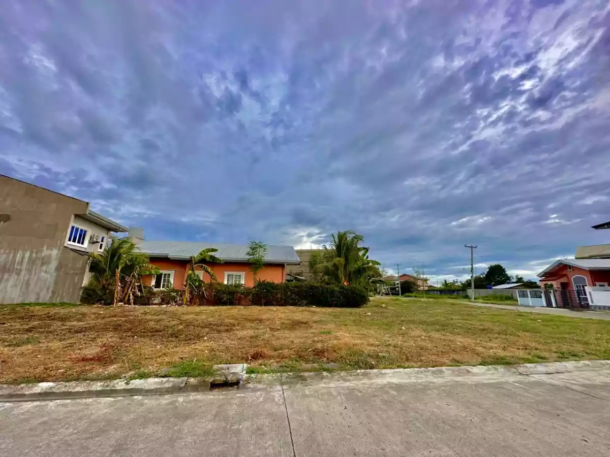 Corner Subdivision Lot for Sale in Cordova — Residential Lot in Barangay Alegria Road, Cordova, Cebu — Photo 5