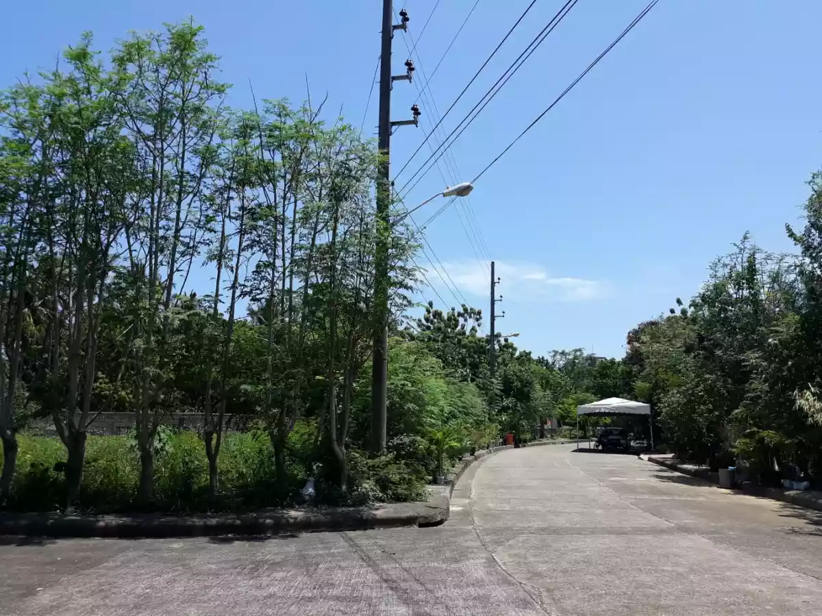 Rush Sale!!! 358 sqm Titled Lot inside Vista Mar Subdivision Lapu-Lapu City - photo 7