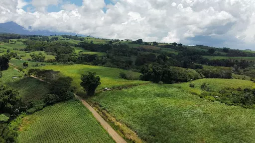 1.4 Hectare Farm Lot for Sale in Malaybalay city, Bukidnon — Agricultural Lot in Malaybalay, Bukidnon, Philippines — Photo 2