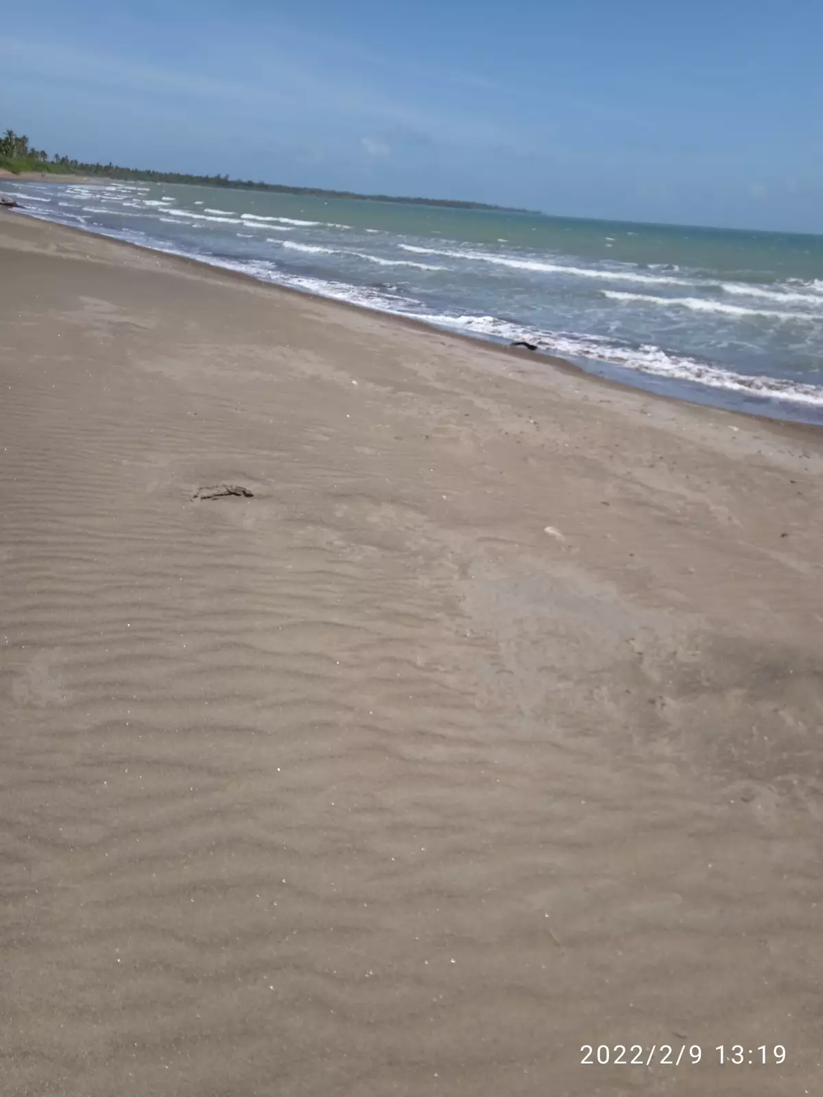Beachfront — Beach Lot in Unnamed Road, Narra, Palawan — Photo 2