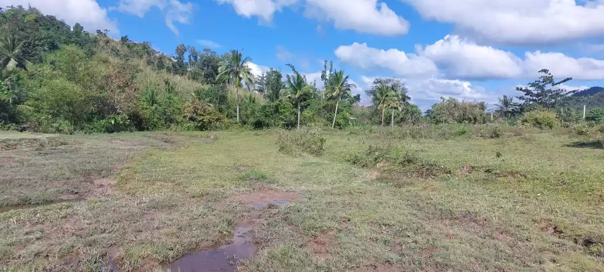 Agri Land for Sale - photo 4