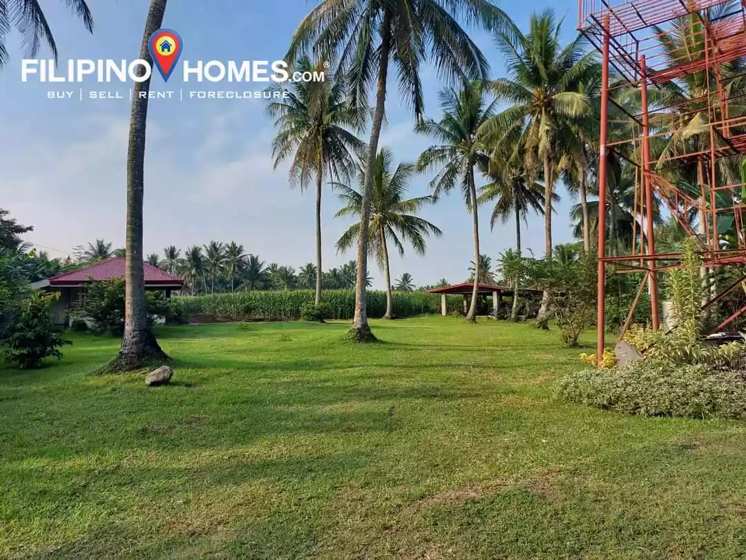 Farm Lot for Sale - photo 3