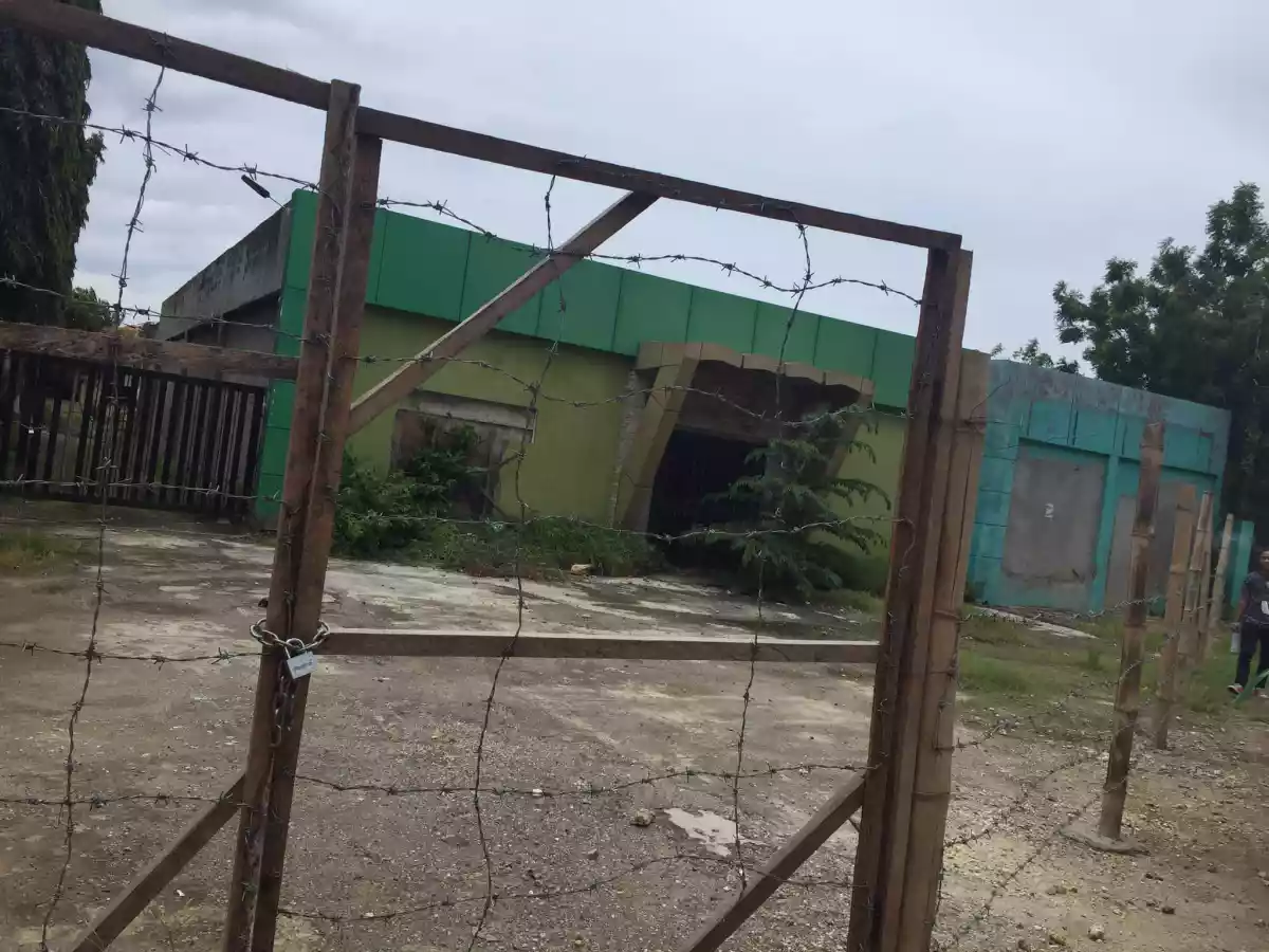 Commercial Lot for sale in Agus Lapu-Lapu City