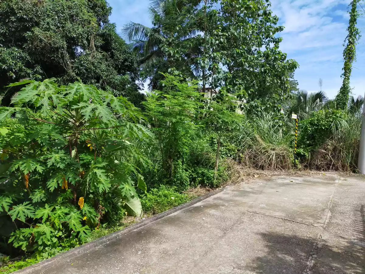 RESIDENTIAL LOT FOR SALE — Residential Lot in Bag ong Daan Road, Liloan, Cebu — Photo 2