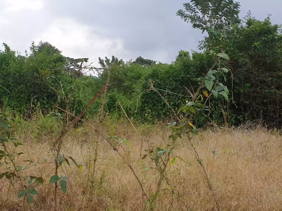 Residential lot — Residential Lot in Bukidnon, Philippines — Photo 2