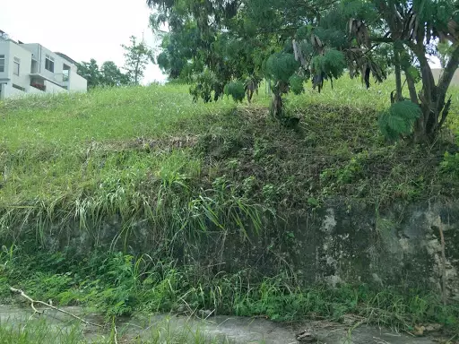 Kishanta Lot For Sale — Residential Lot in Rafael Rabaya Road, Talisay, Cebu — Photo 2