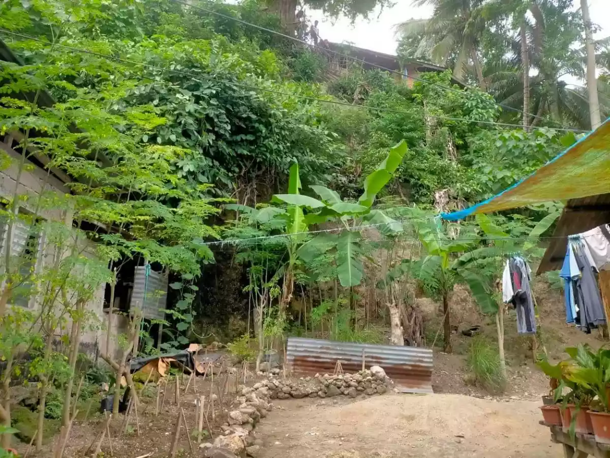 Lot Only — Commercial Lot in Catmon, Cebu, Philippines — Photo 4