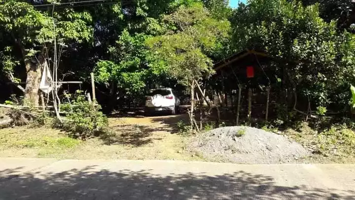 ALONG THE ROAD LOT FOR SALE - photo 2