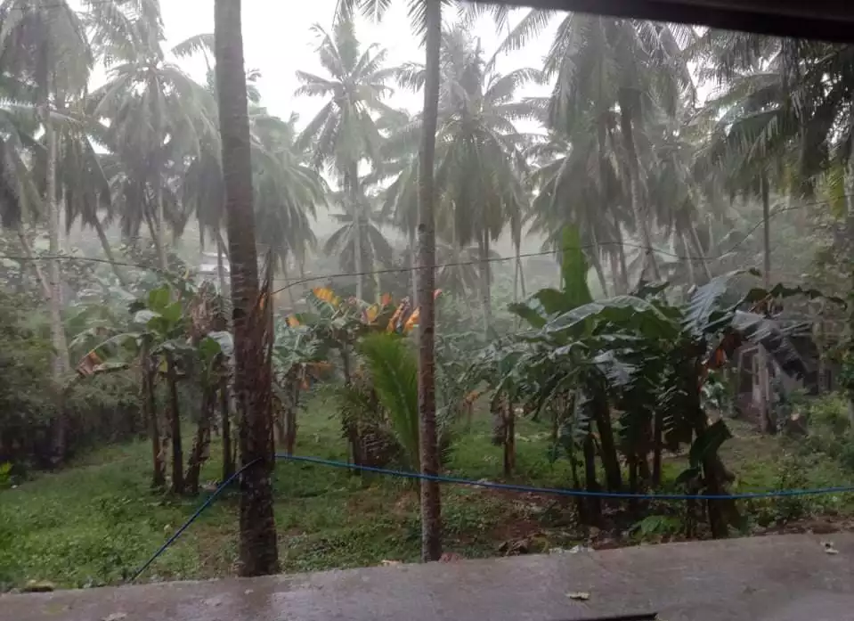 Agricultural Lot For Sale in Sitio Bali Bali Barangay Poblacion Compostela — Agricultural Lot in Cebu, Philippines — Photo 3