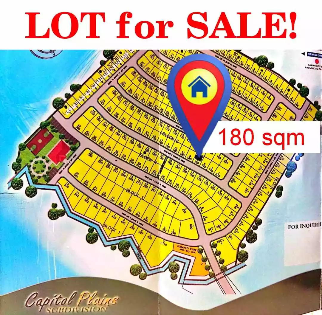 LOT FOR SALE in Capitol Plains, San Agustin, Pili Camarines Sur (Negotiable if a CASH Basis) - photo 5