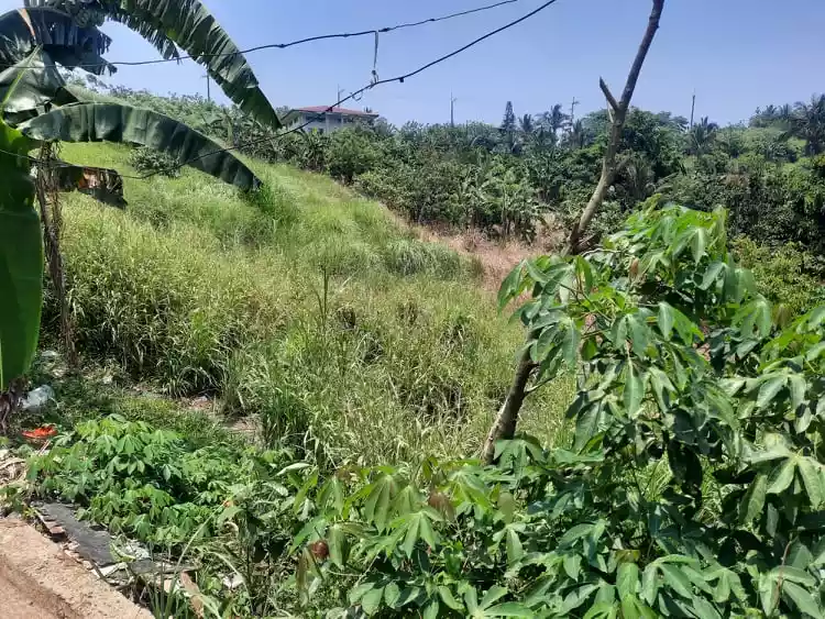 Tagaytay HOT Overlooking Lot w FREE Bungalow   - photo 2