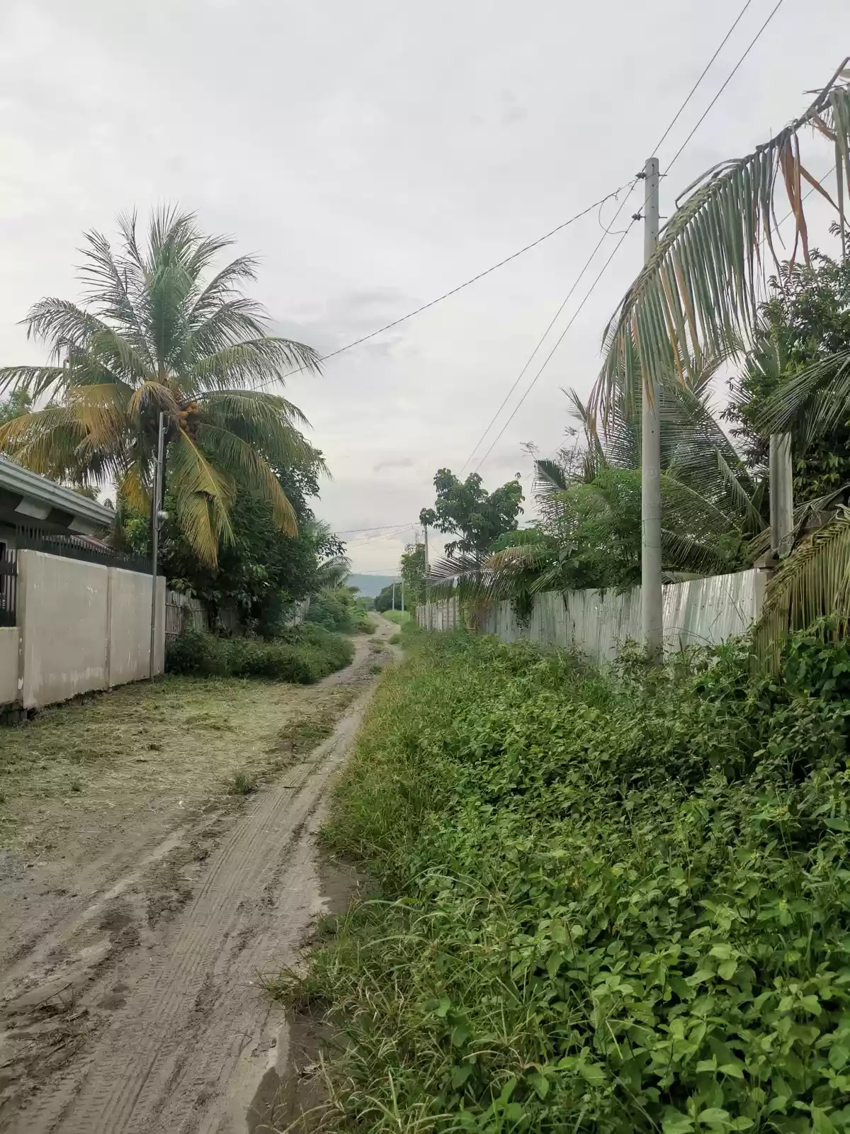 398 sqm corner Lot at Manansala Subdivision Mabuhay.  - photo 3