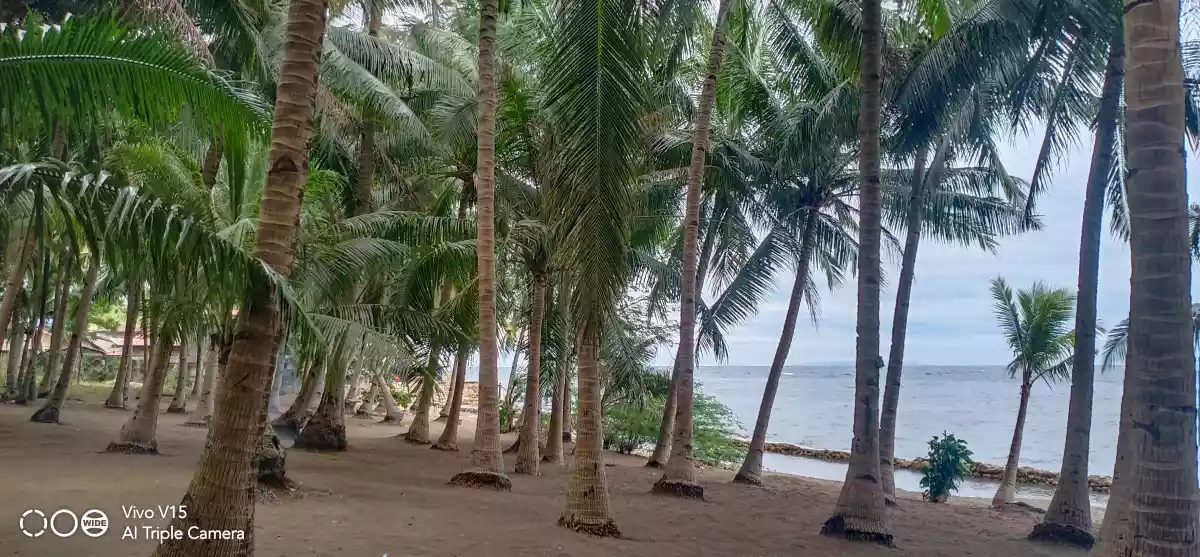 COMMERCIAL/BEACH LOT FOR SALE IN DANAO CITY - photo 6