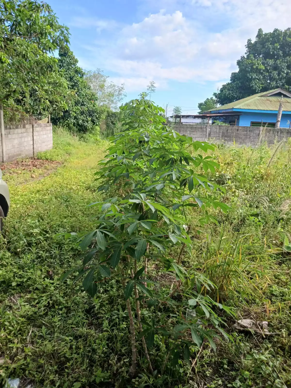 Affordable Lot in Polomolok - photo 5