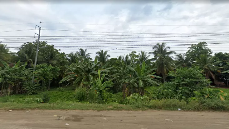 LOT FOR SALE INAWAYAN TORIL - photo 2