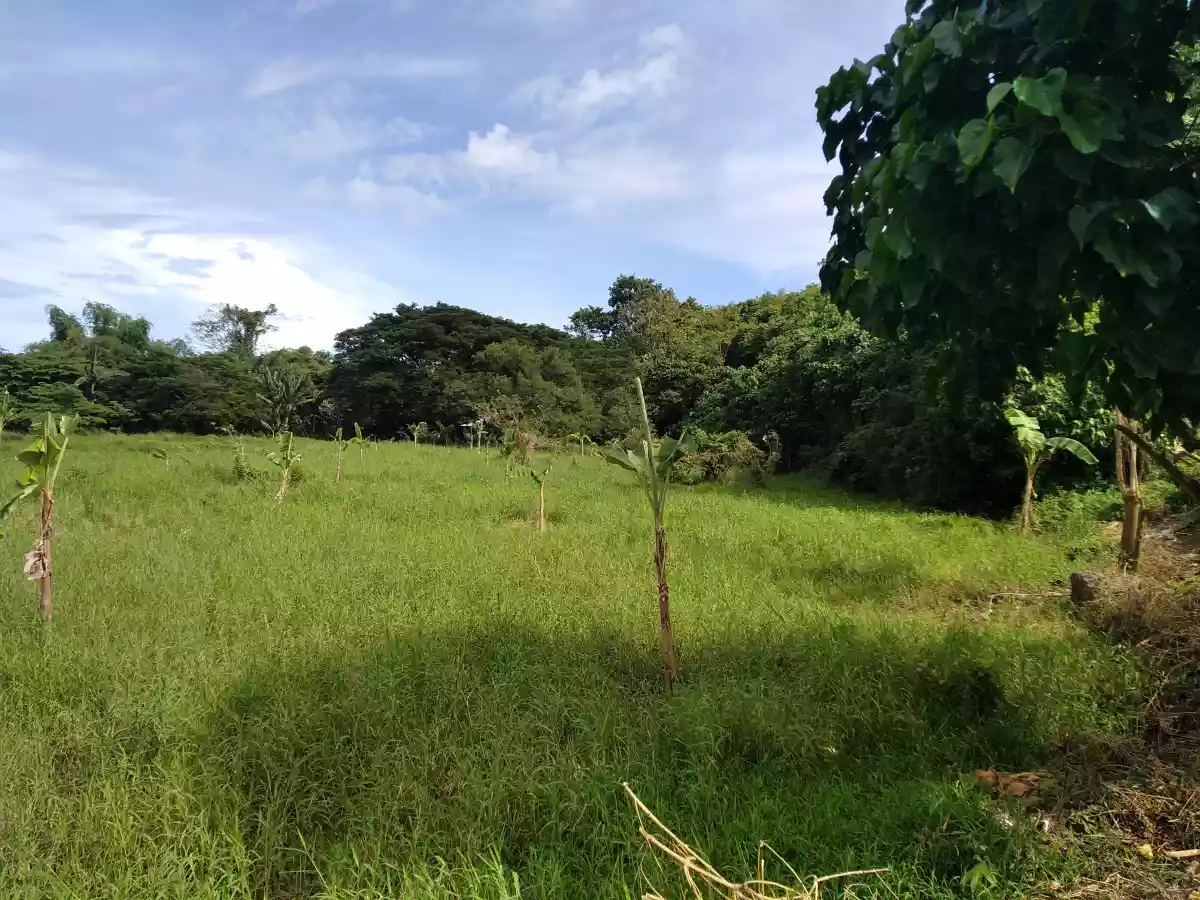 Affordable Industrial Lot - photo 5