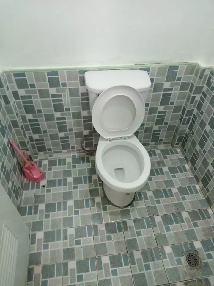 House and Lot in Sibulan, Negros Oriental! - photo 7