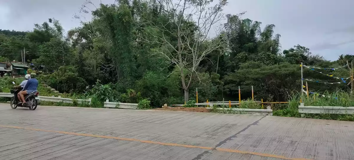 Lot along Hi-way of Transcentral Babag, Cebu City