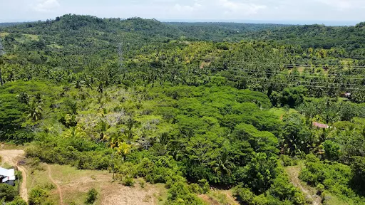 Open photo 16 of 17 — 2.9 Hectares Overlooking Farm Lot For Sale in Initao Misamis Oriental