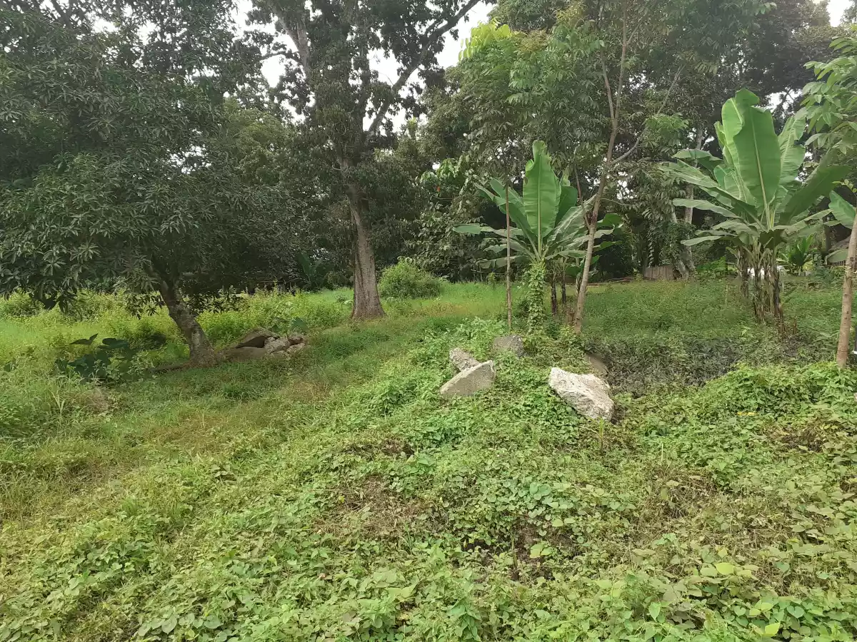 Lot 3,834sqm for sale — Agricultural Lot in Cagayan de Oro, Misamis Oriental, Philippines — Photo 3