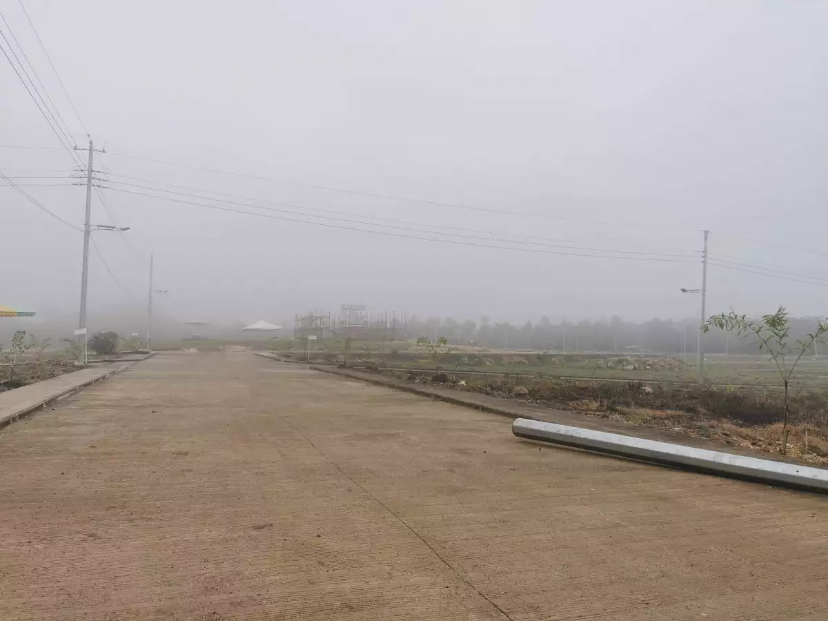 Samal Residential Lot For Sale - photo 5