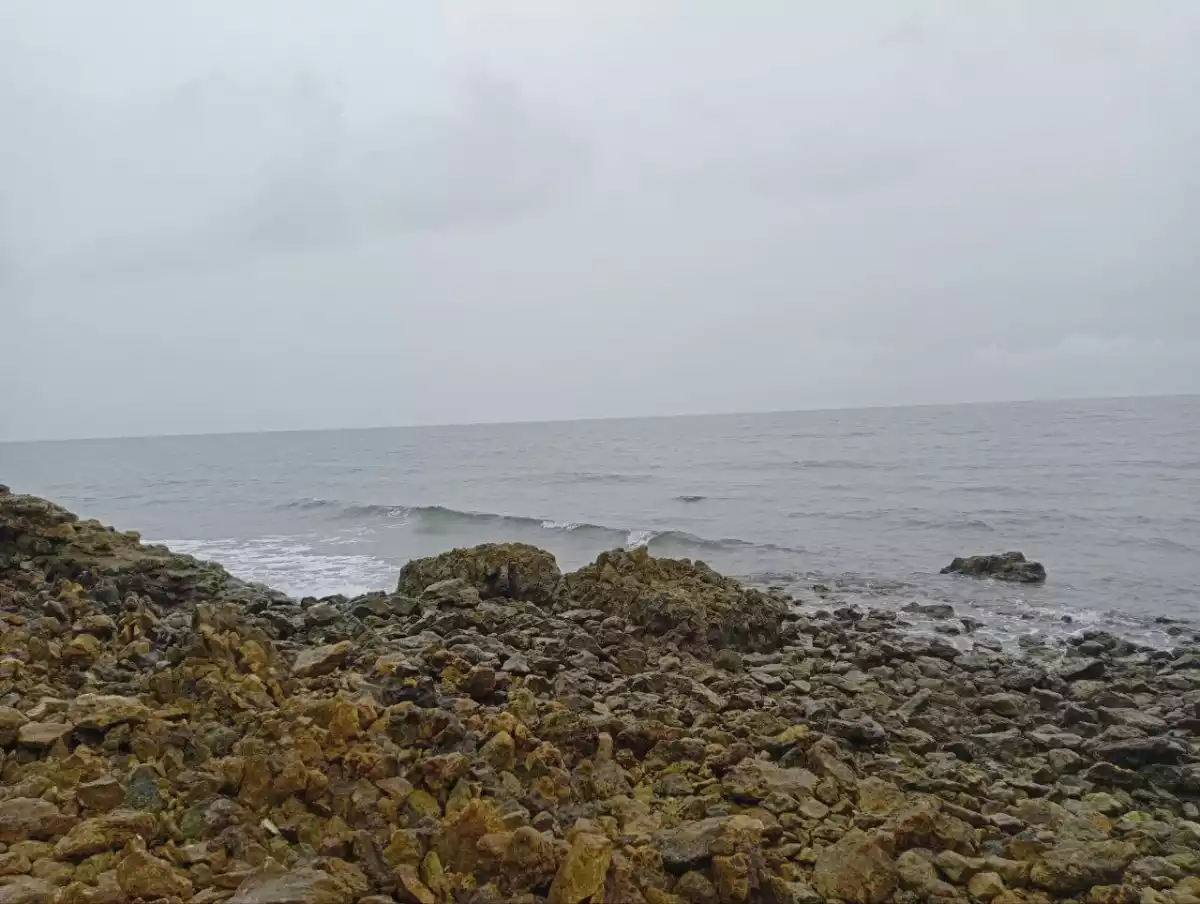 Beach Property in Catmon Cebu — Beach Lot in Catmon, Cebu, Philippines — Photo 5