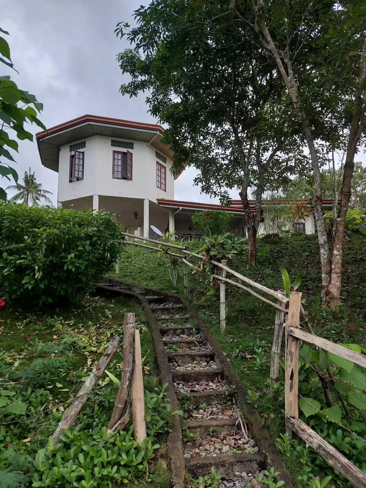 Beach House For Sale in San Remegio, Cebu - photo 4