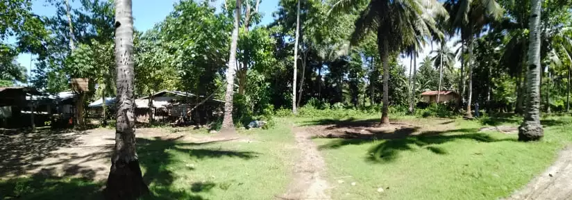 Lot in Toril, Samal - photo 5
