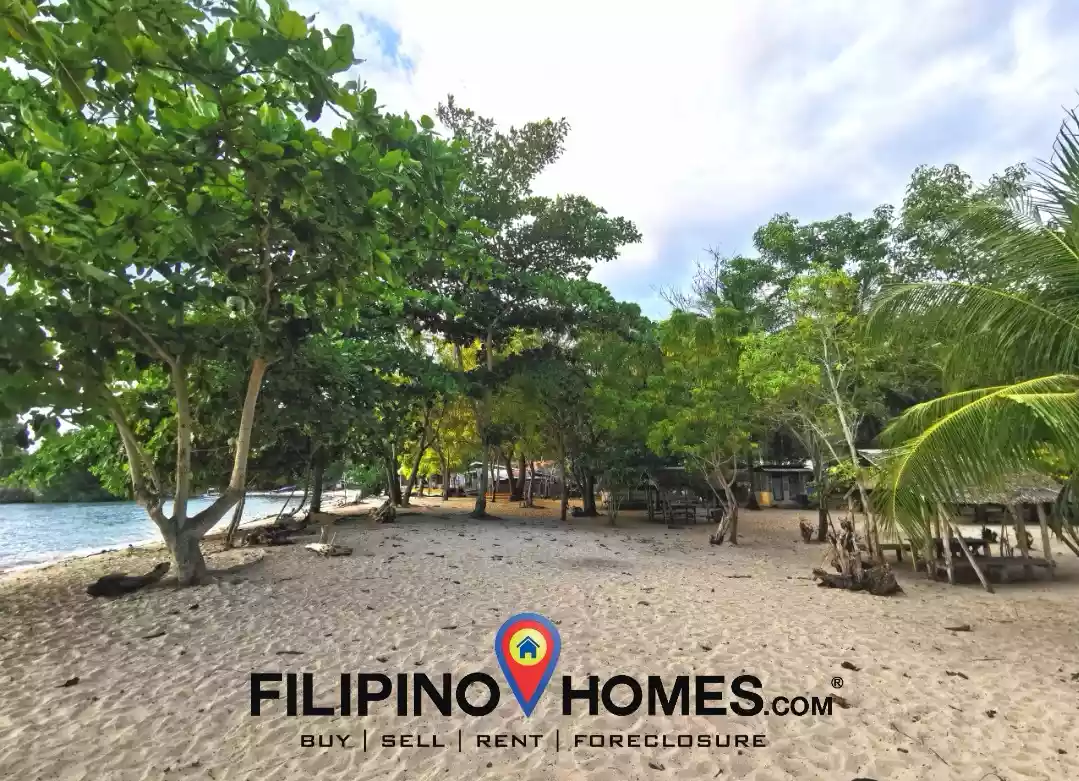 3 Hectares Whitesand Beach Property — Beach Lot in Taluya - Macatimbol Road, Glan, Sarangani — Photo 7
