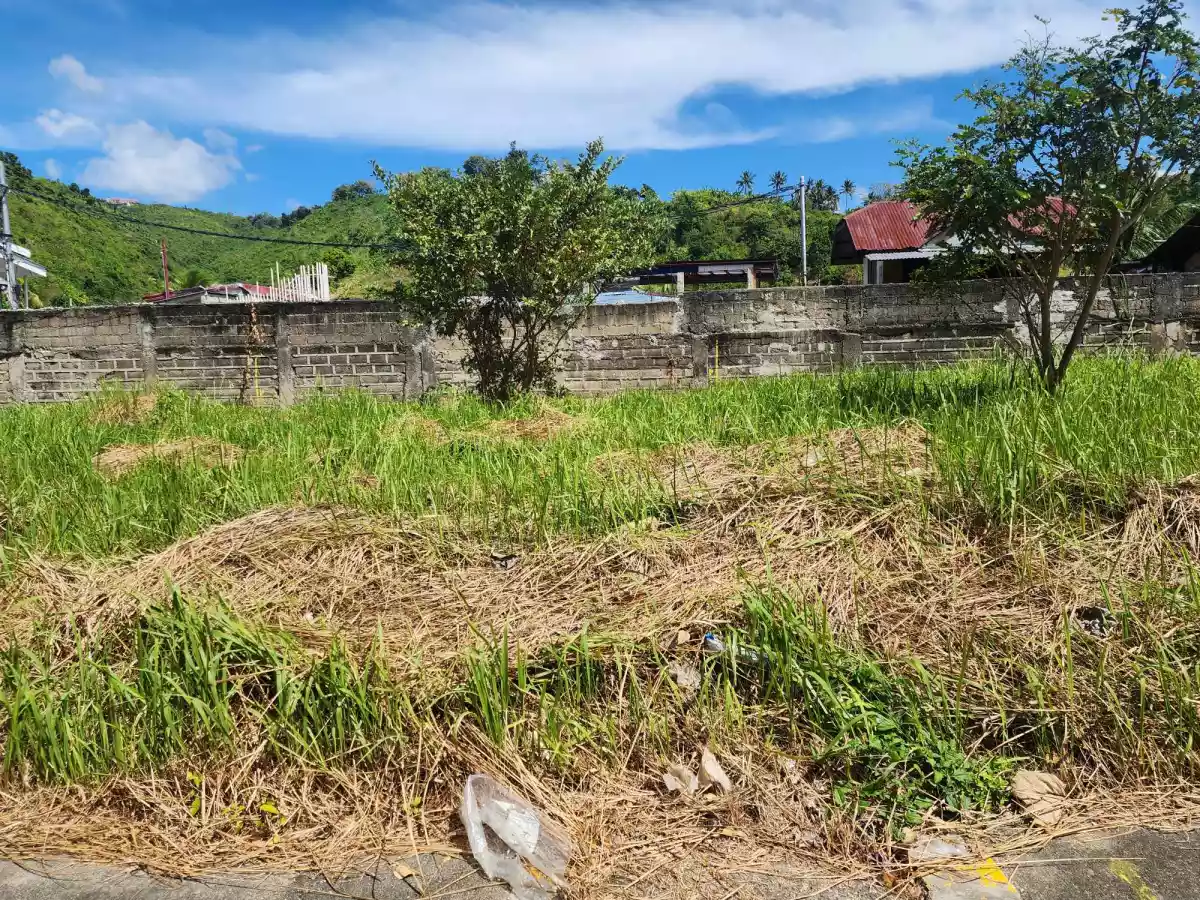 Lot for Sale Pacific Heights Subdivision — Residential Lot in Talisay, Cebu, Philippines — Photo 2