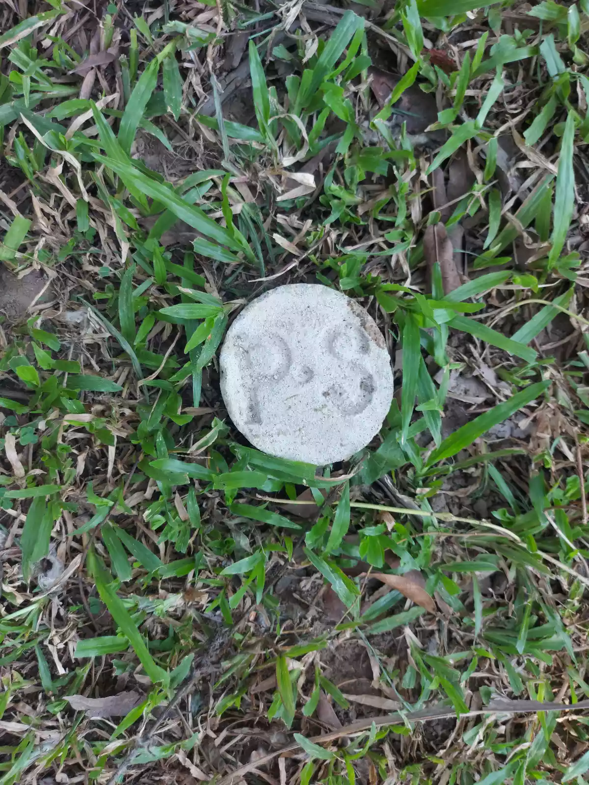 AFFORDABLE LOT FOR SALE IN SIBULAN - photo 5