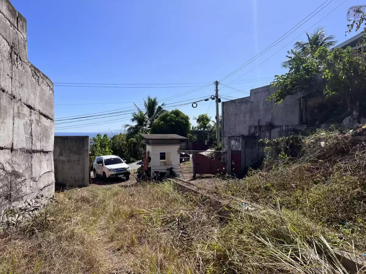 Overlooking Subdivision Lot for Sale in Linao, Talisay City, Cebu — Residential Lot in Antuwanga, Talisay, Cebu — Photo 3
