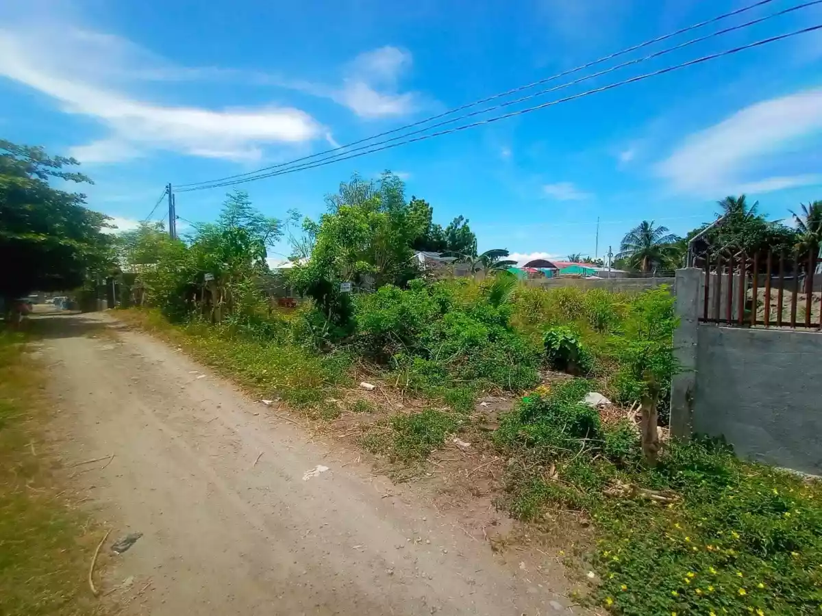 For Sale 300sqm Residential Lot l Mabuhay - photo 6