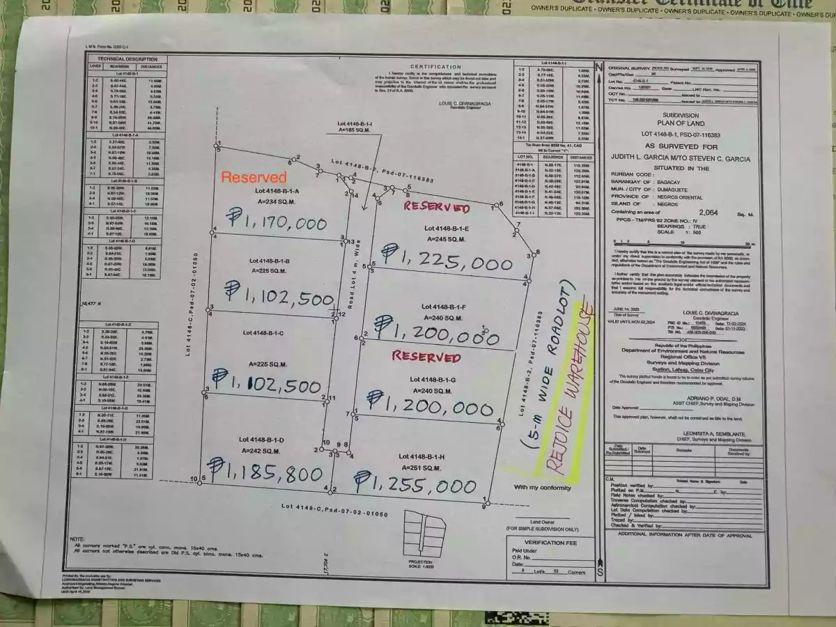 Bacagay, Dumaguete City — Agricultural Lot in Dumaguete, Negros Oriental, Philippines — Photo 7
