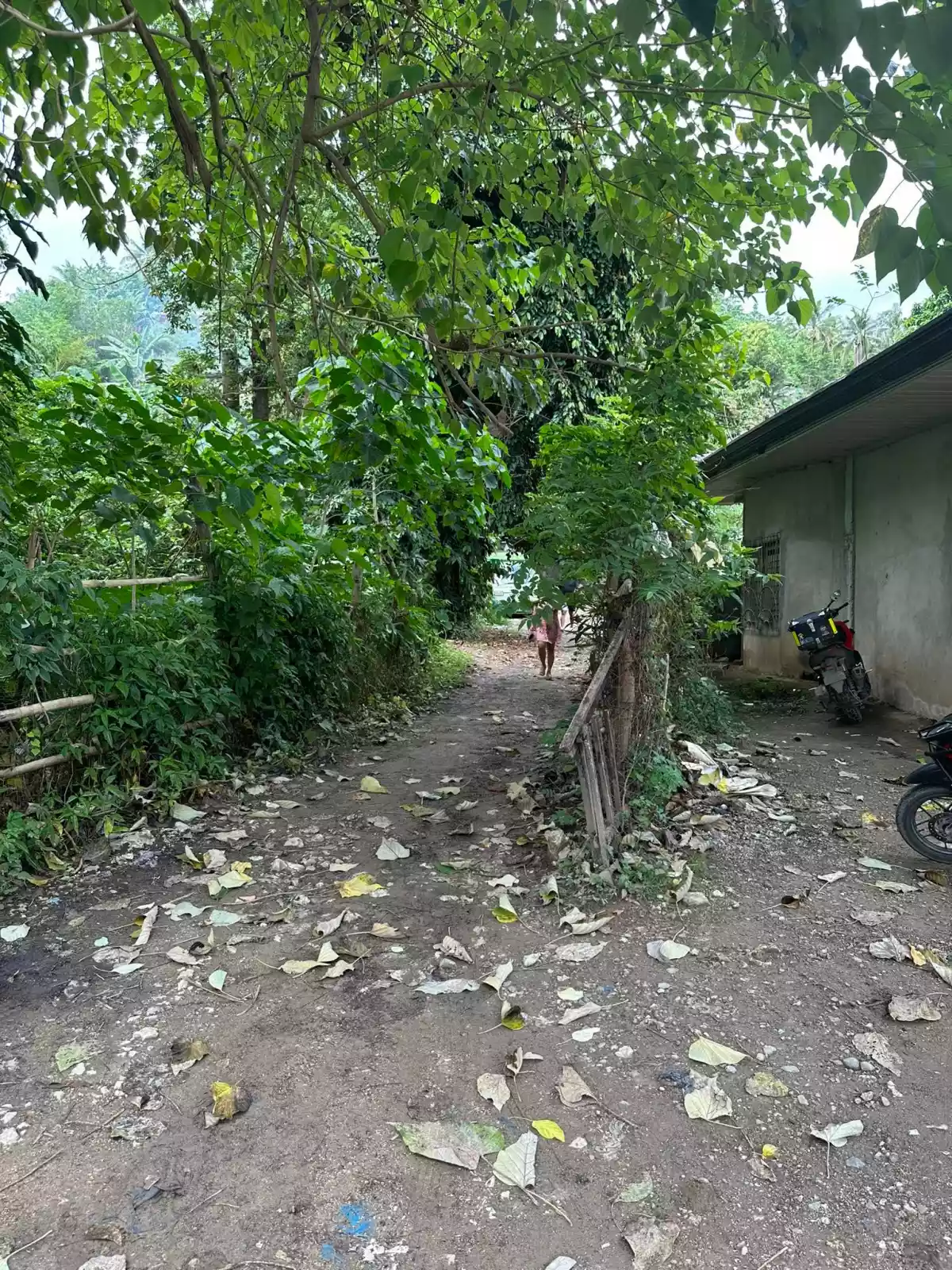 FOR SALE NAGA CEBU LOT ONLY — Residential Lot in City of Naga, Cebu, Philippines — Photo 3
