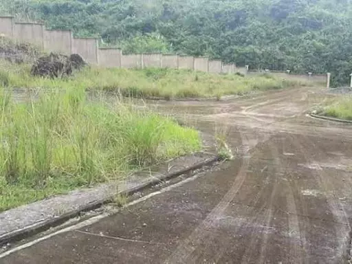 Affordable Lot for Sale in Lamac Consolacion — Residential Lot in Consolacion, Cebu, Philippines — Photo 2